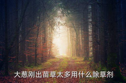  大蔥剛出苗草太多用什么除草劑