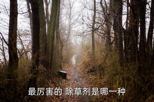 最厲害的 除草劑是哪一種