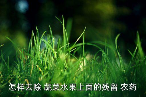 去蔬菜農藥用什么,蔬菜去農藥用小蘇打還是食用堿好