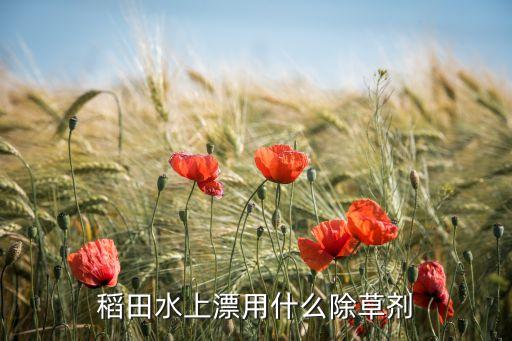 殺小葉浮萍用什么農(nóng)藥,什么農(nóng)藥能殺死浮萍