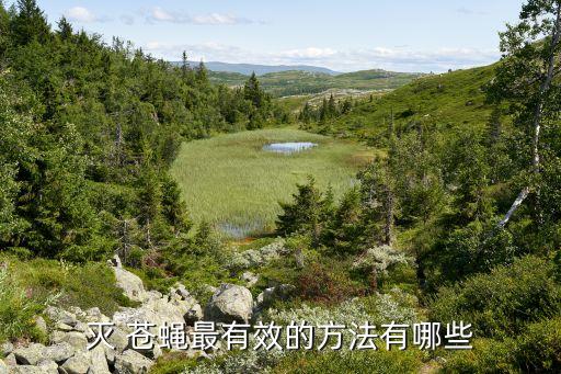 什么農藥消滅蒼蠅最好,殺蒼蠅用什么農藥