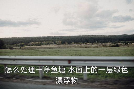 怎么處理干凈魚塘 水面上的一層綠色漂浮物