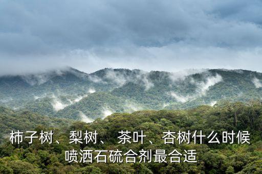 茶葉12月用什么農藥,茶葉用什么農藥防治最好