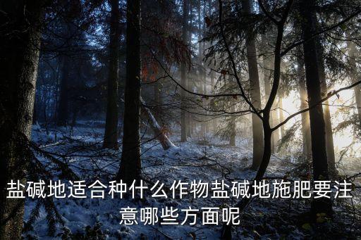 ,種甜高粱彈什么農(nóng)藥
