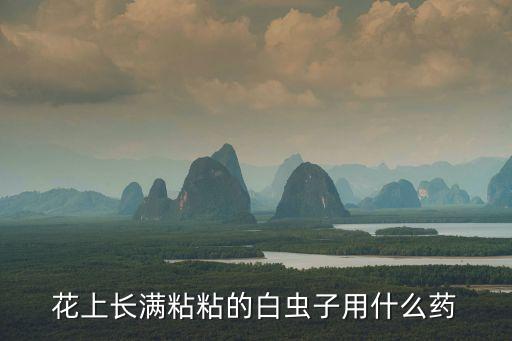 什么農藥治蚜蟲效果好,白蚜蟲用什么農藥