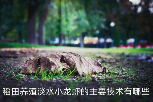稻田養殖淡水小龍蝦的主要技術有哪些