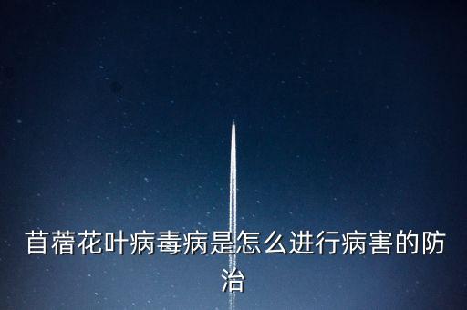  苜蓿花葉病毒病是怎么進行病害的防治
