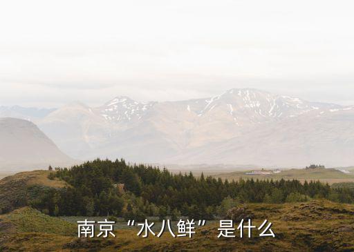 南京“水八鮮”是什么