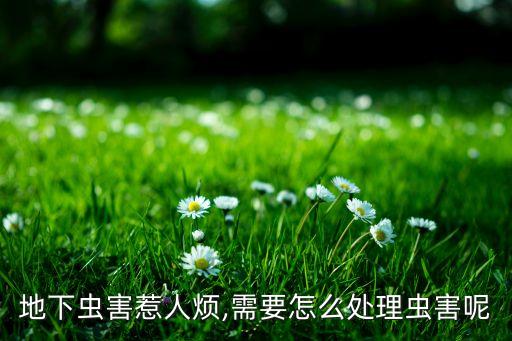 地里治蟲農藥用什么藥,打農藥蟲藥什么時間打最好