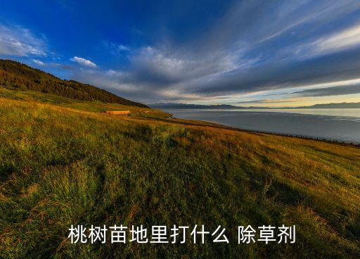  桃樹苗地里打什么 除草劑
