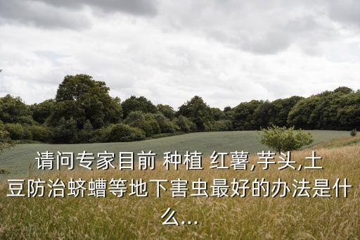 紅薯種植需要用什么農藥