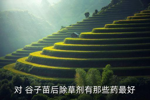 什么農藥治谷子病害好,谷子打什么農藥
