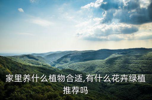 家里養(yǎng)什么植物合適,有什么花卉綠植推薦嗎