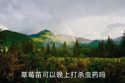  草莓苗可以晚上打殺蟲藥嗎