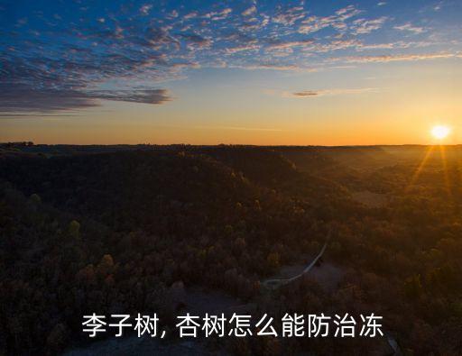 杏樹李子樹用什么農藥治蟲,李子樹打什么農藥好