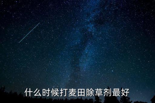 什么時候打麥田除草劑最好