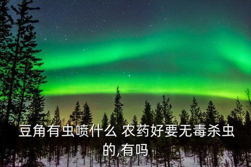  豆角有蟲噴什么 農藥好要無毒殺蟲的,有嗎