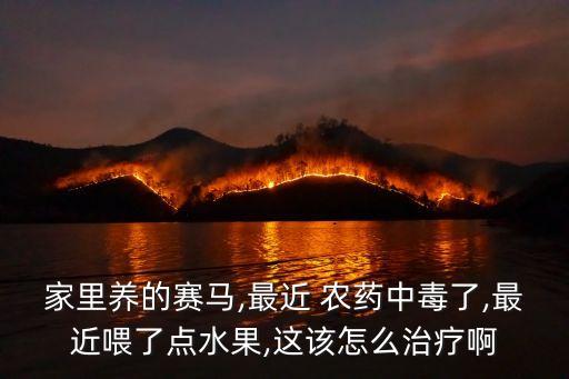 馬有鐵桌上什么農(nóng)藥,沒(méi)有看到馬有鐵喝農(nóng)藥