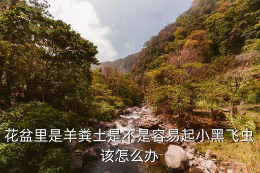 花盆里是羊糞土是不是容易起小黑飛蟲該怎么辦
