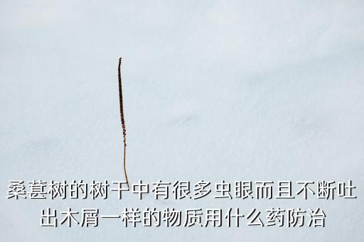 桑葚樹的樹干中有很多蟲眼而且不斷吐出木屑一樣的物質用什么藥防治