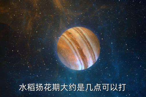 水稻揚花期大約是幾點可以打