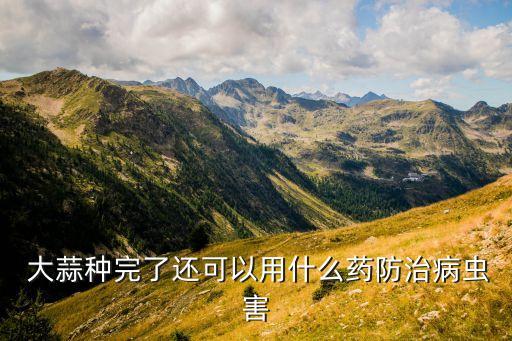 大蒜上打什么農藥好,大蒜增產用什么農藥
