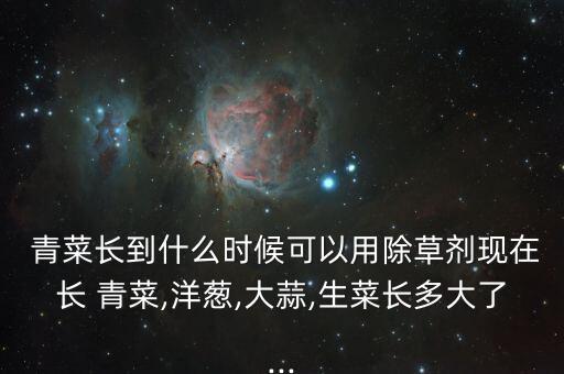 小青菜    用什么農藥,青菜打什么農藥效果好