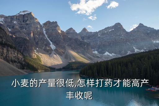 小麥噴農(nóng)藥用什么好用呢,小麥打農(nóng)藥什么時間打效果好