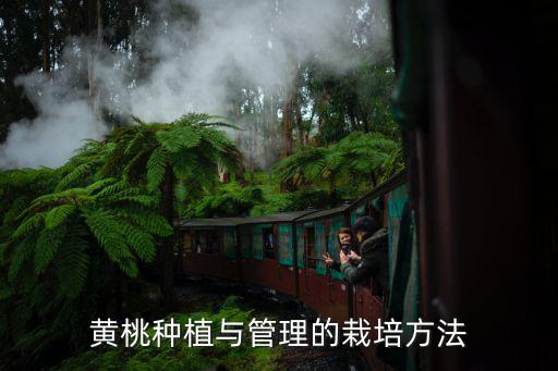 黃桃用什么農藥殺蟲的,打殺蟲農藥什么時間打效果好