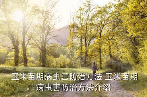用什么農藥給玉米拌種劑,什么農藥拌種最好