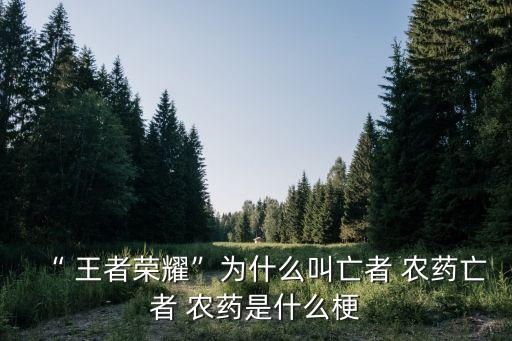 “ 王者榮耀”為什么叫亡者 農藥亡者 農藥是什么梗