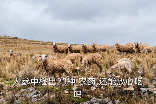 人參中檢出25種 農藥,還能放心吃嗎