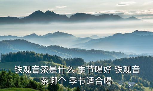  鐵觀音茶是什么 季節(jié)喝好 鐵觀音茶哪個 季節(jié)適合喝