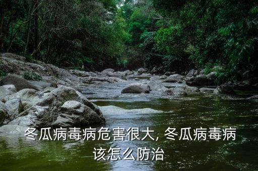  冬瓜病毒病危害很大, 冬瓜病毒病該怎么防治