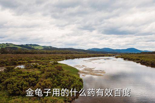 吃金龜子有什么好處,金龜子用什么農(nóng)藥好