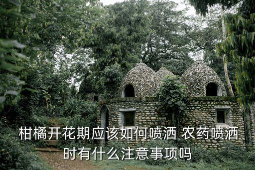 打柑橘農藥什么時候好,柑橘打什么農藥使果皮光亮