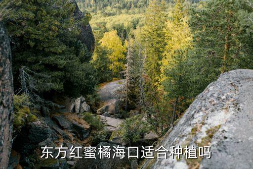 蜜桔打什么農藥,蜜桔有農藥味
