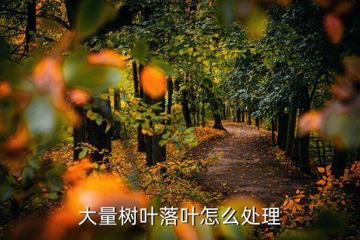 植物掉葉子用什么農(nóng)藥,植物的葉子軟掉是因?yàn)槭裁?/></a></span><span id=