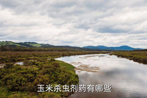 玉米打什么農藥效果好些,玉米爛心用什么農藥治