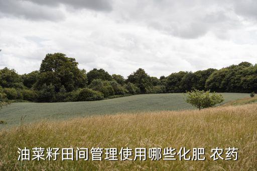 油菜籽田間管理使用哪些化肥 農(nóng)藥