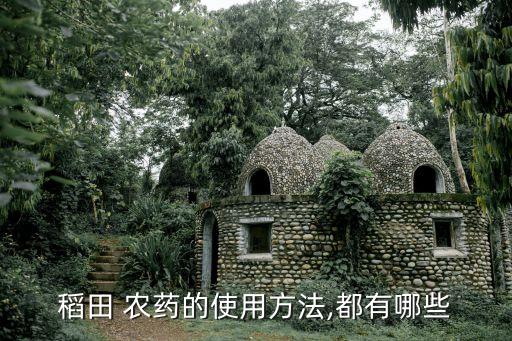 稻田 農藥的使用方法,都有哪些
