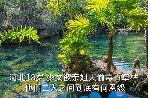 河北18歲 少女被親姐夫偷毒百草枯,他們二人之間到底有何恩怨