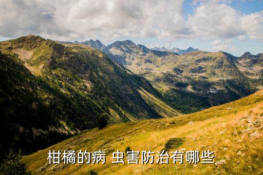 橘子的蟲害用什么農(nóng)藥,橘子開花打什么農(nóng)藥