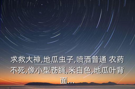 求救大神,地瓜蟲子,噴灑普通 農藥不死,像小型蒼蠅,米白色,地瓜葉背面...