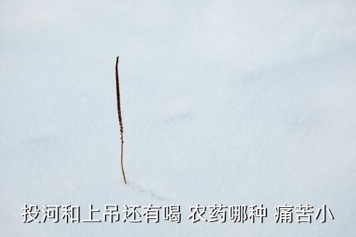 喝什么農(nóng)藥痛苦少,喝農(nóng)藥極度痛苦到底有多疼
