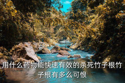 用什么藥物能快速有效的殺死竹子根竹子根有多么可恨