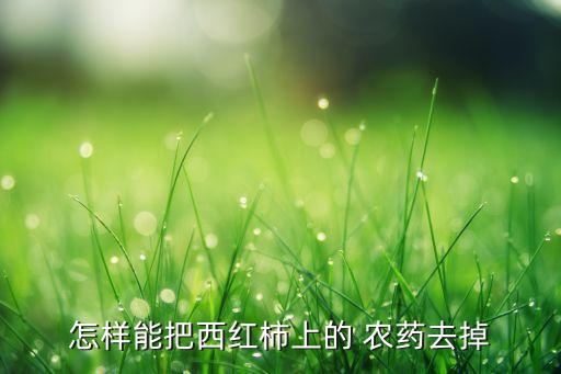 怎樣能把西紅柿上的 農(nóng)藥去掉