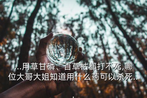 ...用草甘磷、百草枯都打不死,哪位大哥大姐知道用什么藥可以殺死...