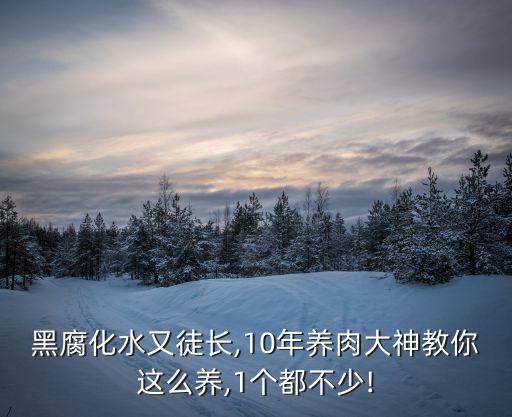肉用什么泡不會腐爛,腐爛的多肉用什么農藥好