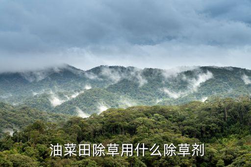 早春油菜用什么農藥,油菜打什么農藥最好